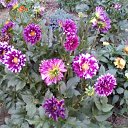  ,  -  3  2025   Beregszasz_2024