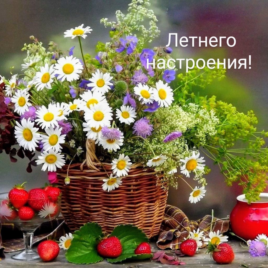   ,    . - 3  2024  20:34 - 2