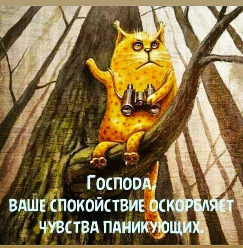 :)  ?    ? - !!! )))