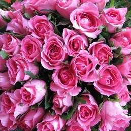 �����, ������, 69 ���