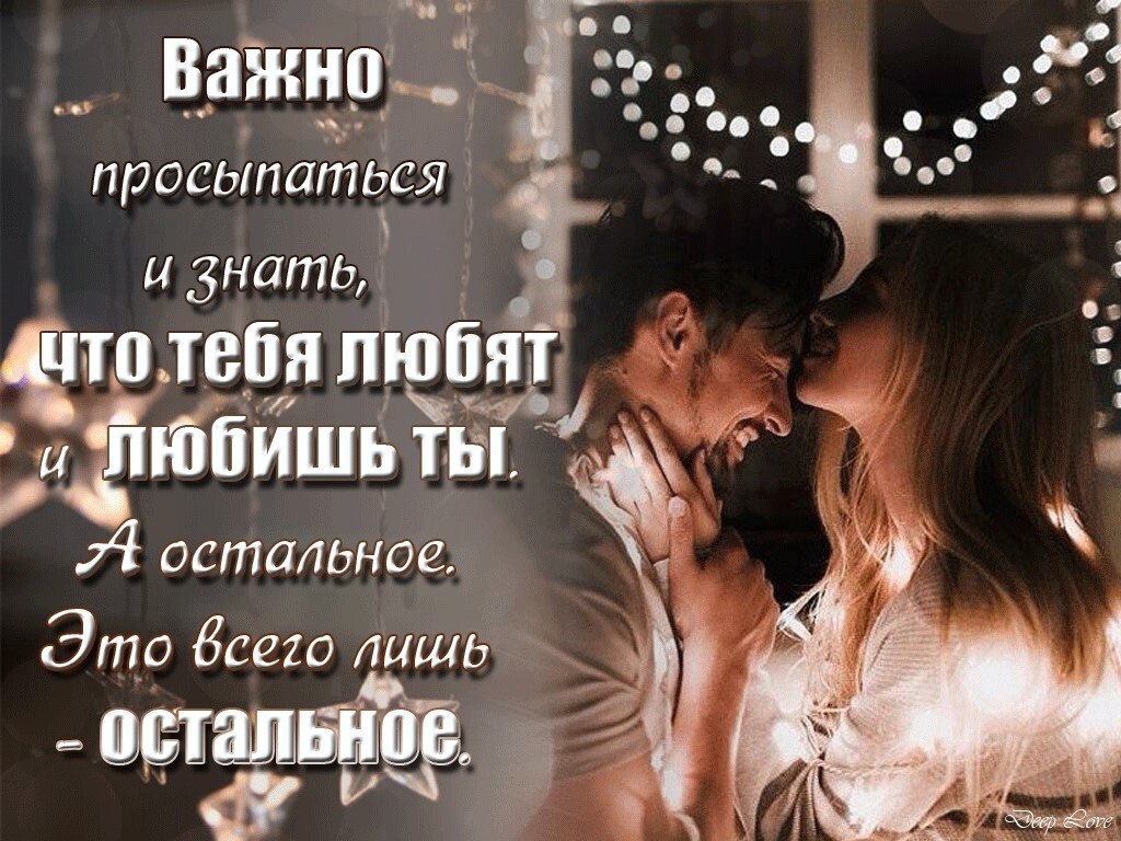 ������� - 7 ���� 2026 � 11:44