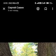 , 44 , 
