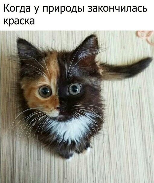 ☆   ☆ - 8  2024  02:37