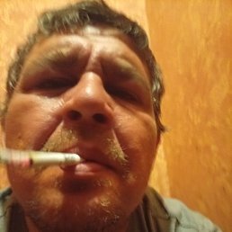 ��������, ����, 40 ���