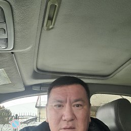 , 46, 