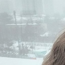 ����, ���������, 36 ���