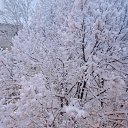 ���� ������, �����-��������� - ��������� 11 ������ 2025 � ������ ������ ��������