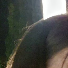 �����, ������, 38 ���