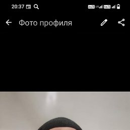 , 41, 
