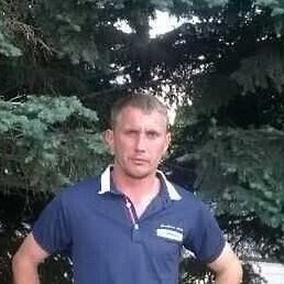 �������, ���������, 41 ���