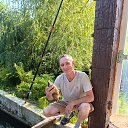 ���� �������, ������, 54 ���� - ��������� 3 �������� 2026 � ������ ���� ����������