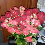 ���������, 38 ���, �����