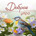 ���� �������, ��������, 70 ��� - ��������� 7 ����� 2024 � ������ ���� ����������