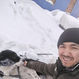 �����, �����������, 38 ���