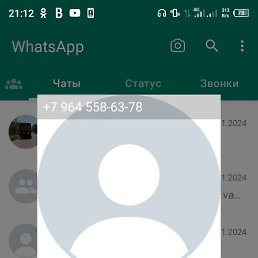 ���� ��������, �����-���������, 44 ���� - ��������� 8 ������� 2024