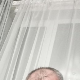 ���� ���� �����������, ������, 48 ��� - ��������� 8 ��� 2025