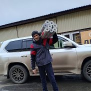 , 43 , 