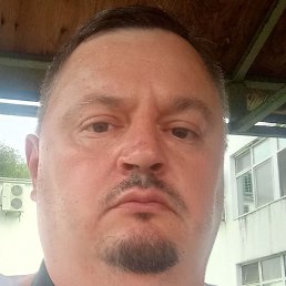 ��������, ������, 41 ���