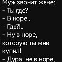 ���� �������, ����-������ - ��������� 14 ���� 2026 � ������ ���� ����������