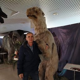 , 54, 