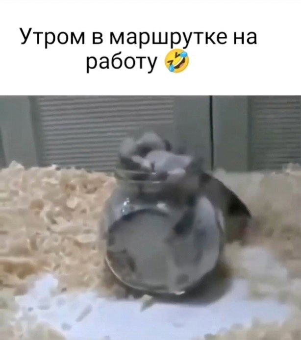    - 2