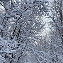 ���� �������, ����� - ��������� 7 ������� 2025 � ������ ���� ����������