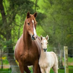 ����, ������, 27 ���