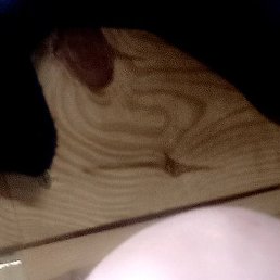Roma, �������, 37 ���