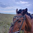 ���� ������, �����, 54 ���� - ��������� 16 ������� 2026 � ������ ���� ����������
