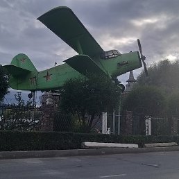 ��������, �������-���������, 39 ���