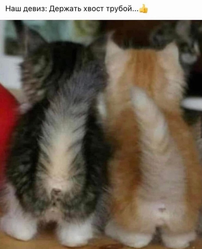 :)