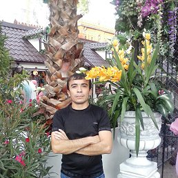  , 46, 