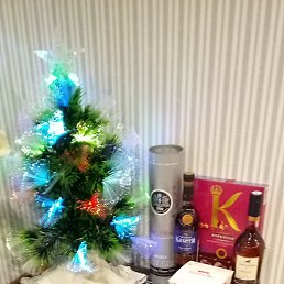 ���� ��������, ������, 62 ���� - ��������� 21 ������ 2024