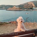 ���� Giannis, �����, 60 ��� - ��������� 25 ���� 2026 � ������ ������ ��������