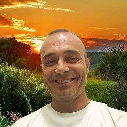, 41, 