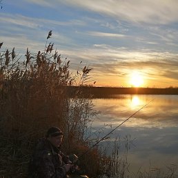 ������, ��������, 49 ���