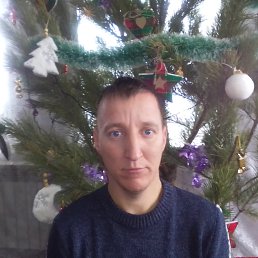 ��������, 38 ���, ���������