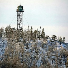 ������, ������, 61 ���