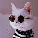 ���� ����, ��������, 27 ��� - ��������� 27 ������� 2024 � ������ ���� ����������