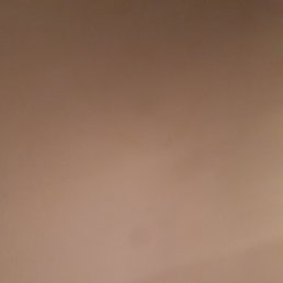 , , 41 