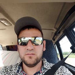 , 33, 
