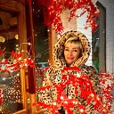 ���� �������, ��������� - ��������� 8 ������ 2024 � ������ ���� ����������