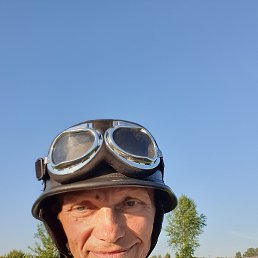 , 61 , 