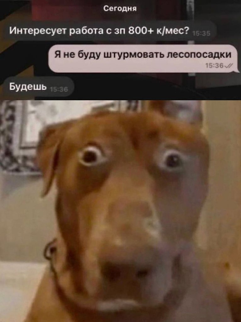  - 26  2025  07:58