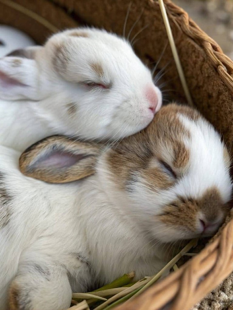 :) 