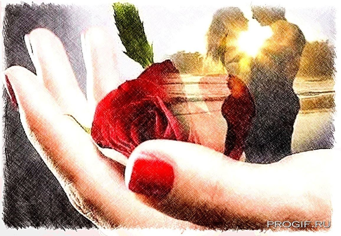   .  ,      ,    ... - 2