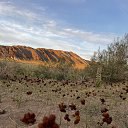  , , 65  -  15  2024   .