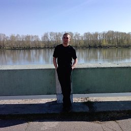 ������, ������, 41 ���