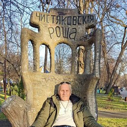 , 61, 