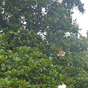 ���� ������, ������, 70 ��� - ��������� 30 ����� 2026